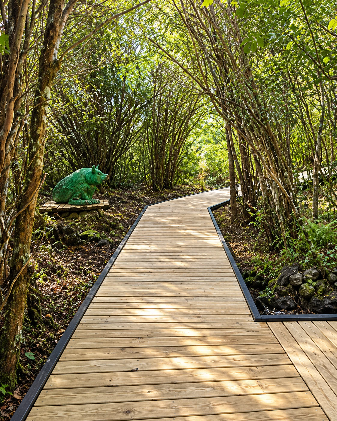 Pasarela de madera que atraviesa el bosque